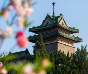 南京农业大学网上办事大厅