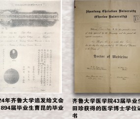 山东大学学历证书