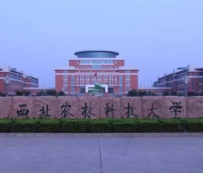 西北农林科技大学文凭(西北农林科技大学条件艰苦吗)