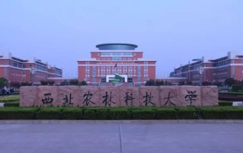 西北农林科技大学文凭(西北农林科技大学条件艰苦吗)