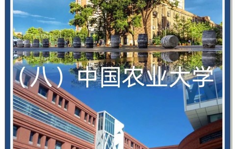 中国农业大学烟台研究院