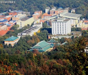 湖南大学是985还是211