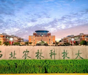 西北农林科技大学文凭报考条件