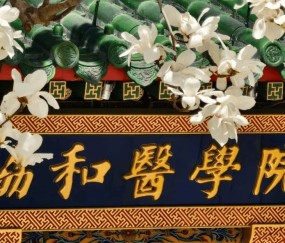 北京协和医学院文凭(北京协和医学院出来的学生)