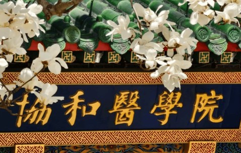 北京协和医学院文凭(北京协和医学院出来的学生)