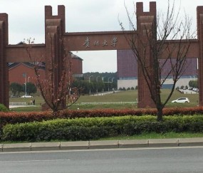 贵州大学(贵州大学生返乡创业平台公示)