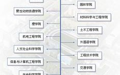 东北林业大学毕业证的样本和图片