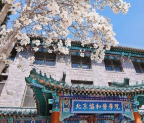 北京协和医学院认可度