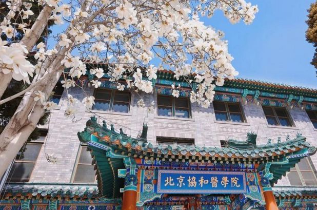 北京协和医学院认可度