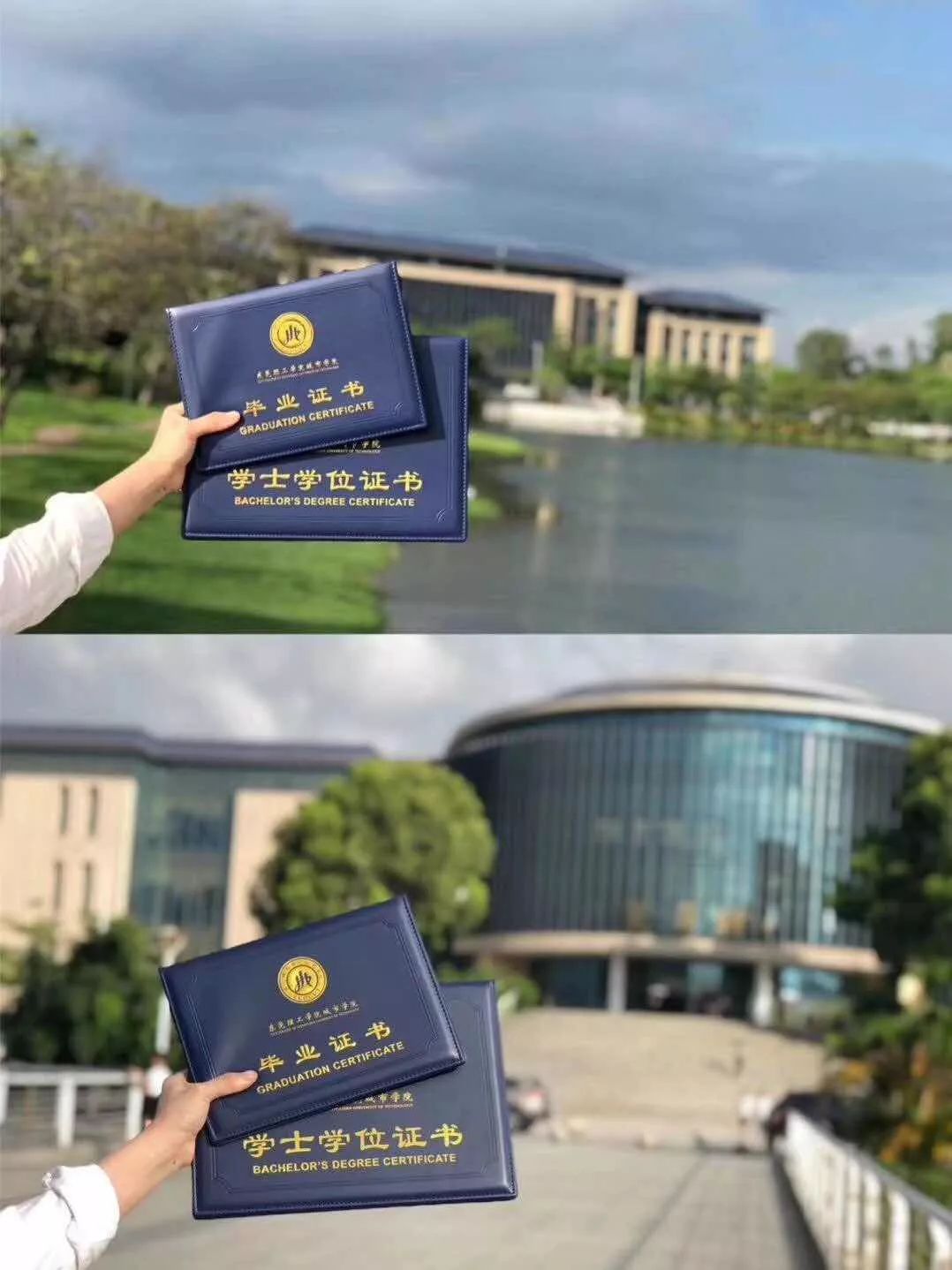 北京师范大学学历证书