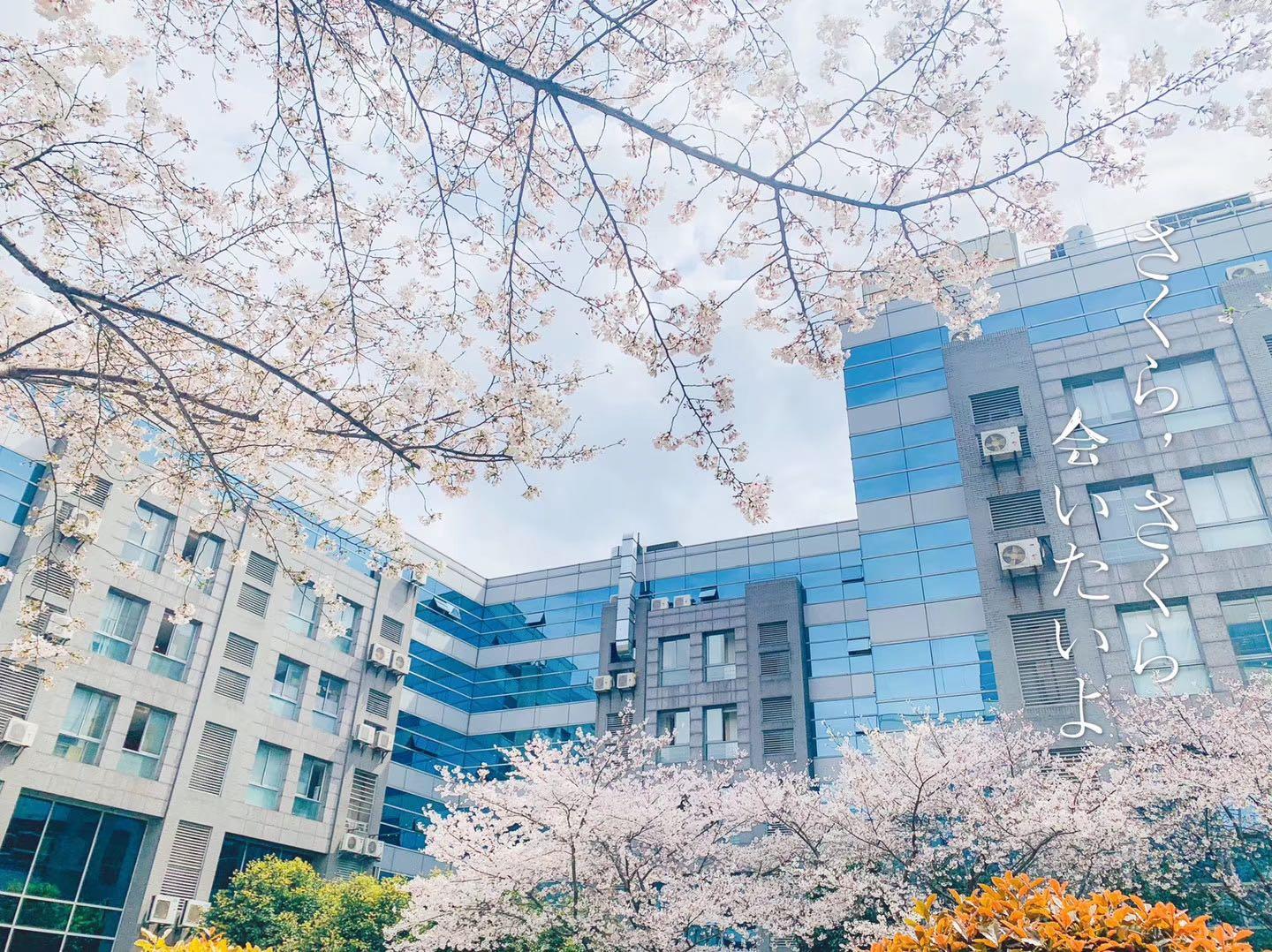 北京科技大学分数线