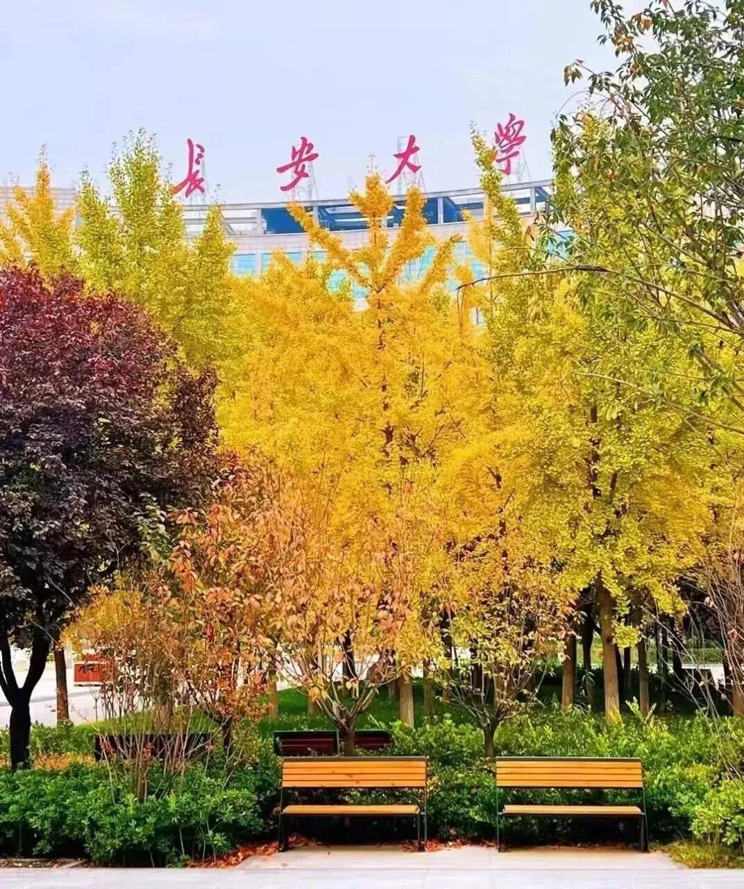 长安大学研究生招生网