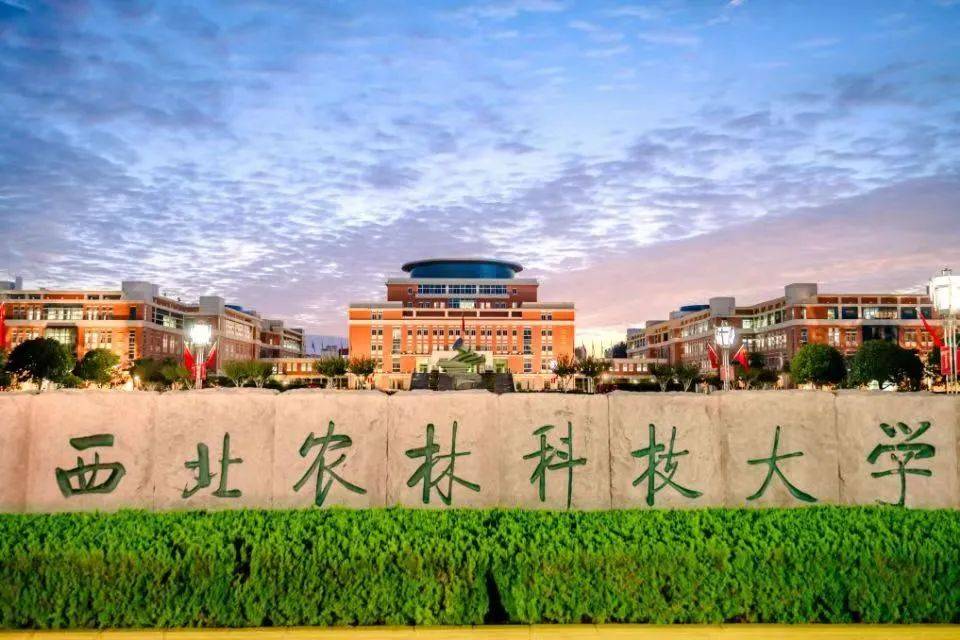 西北农林科技大学文凭报考条件