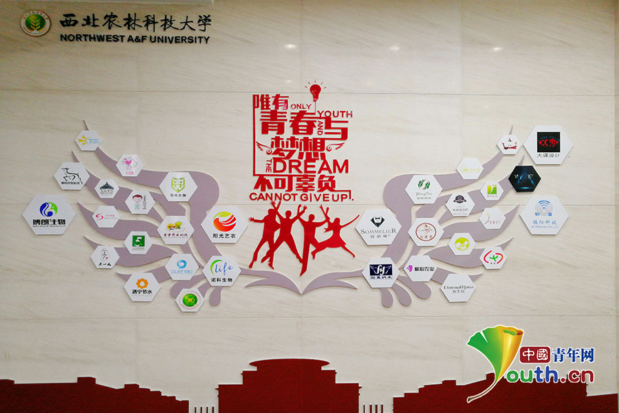 西北农林科技大学毕业证图片